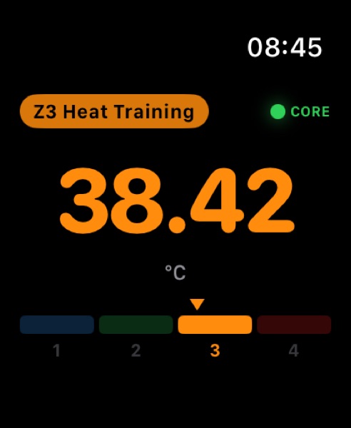 Core temp zone needle